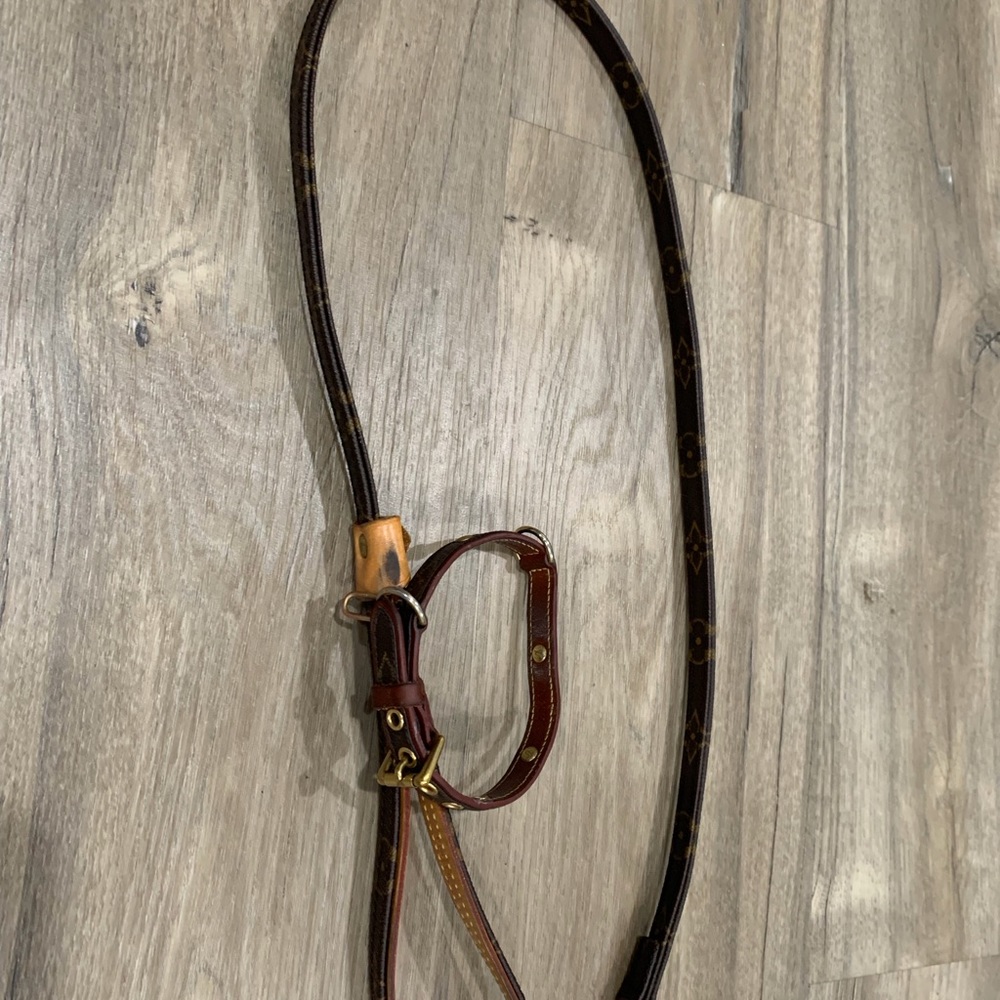 Louis Vuitton collar and leash